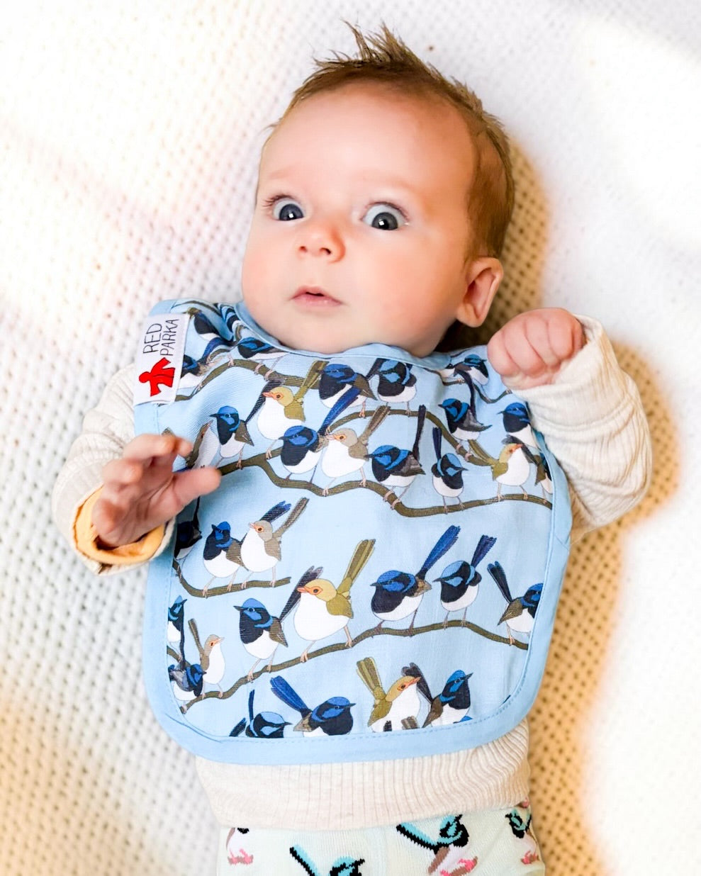 Superb Fairy Wren Baby Bib