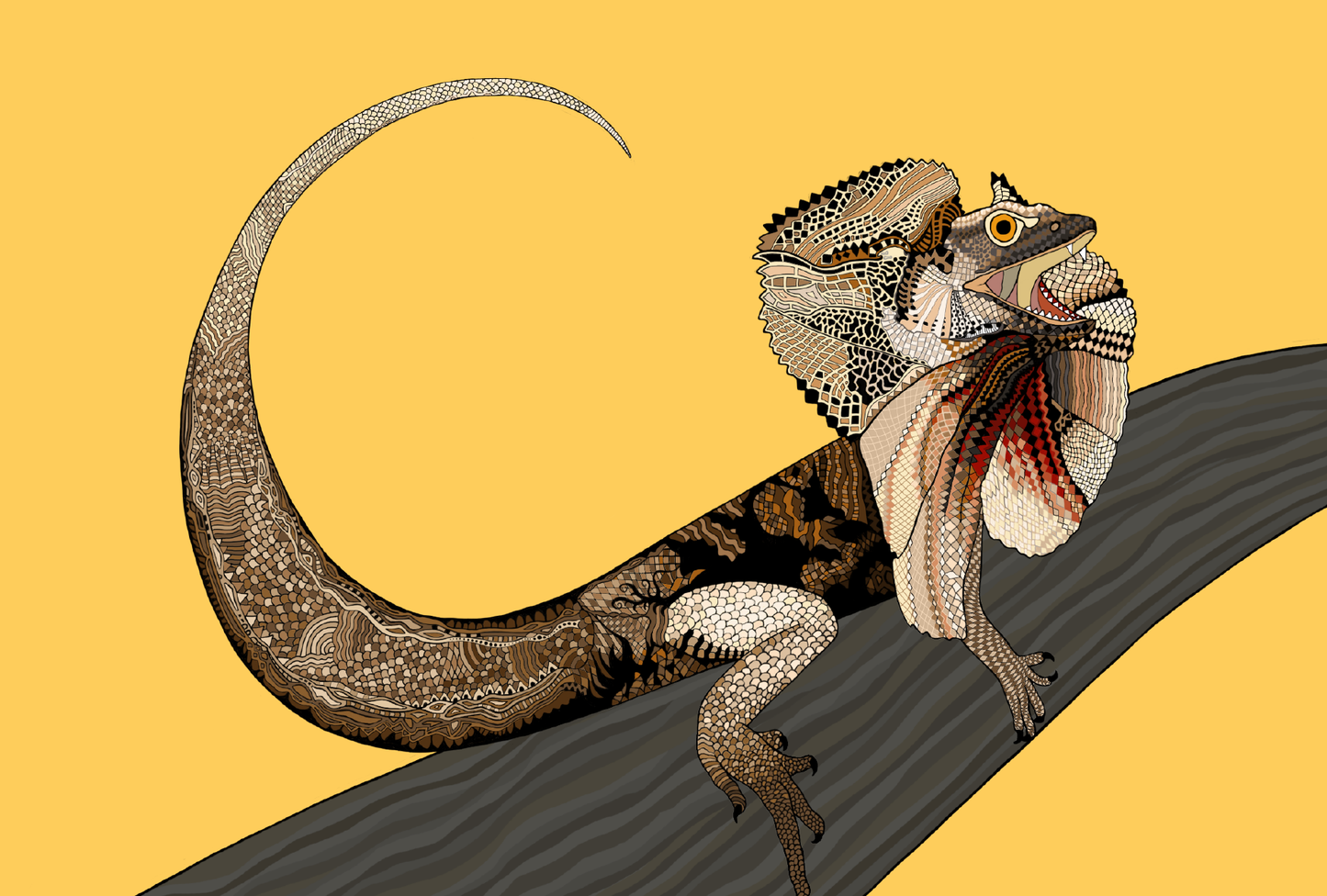 Australian Animal Card - Frillnecked Lizard