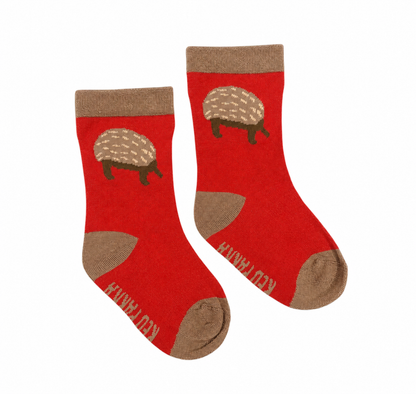 Echidna Socks