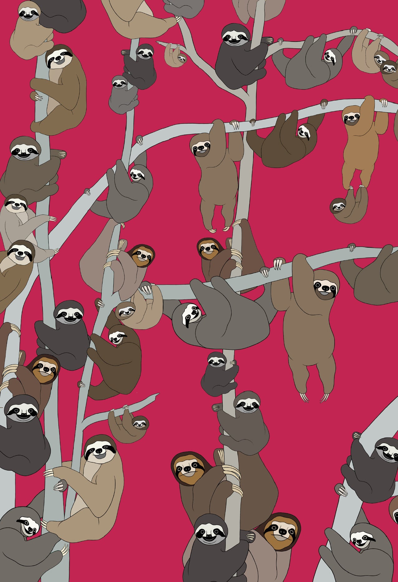 Sloths Card