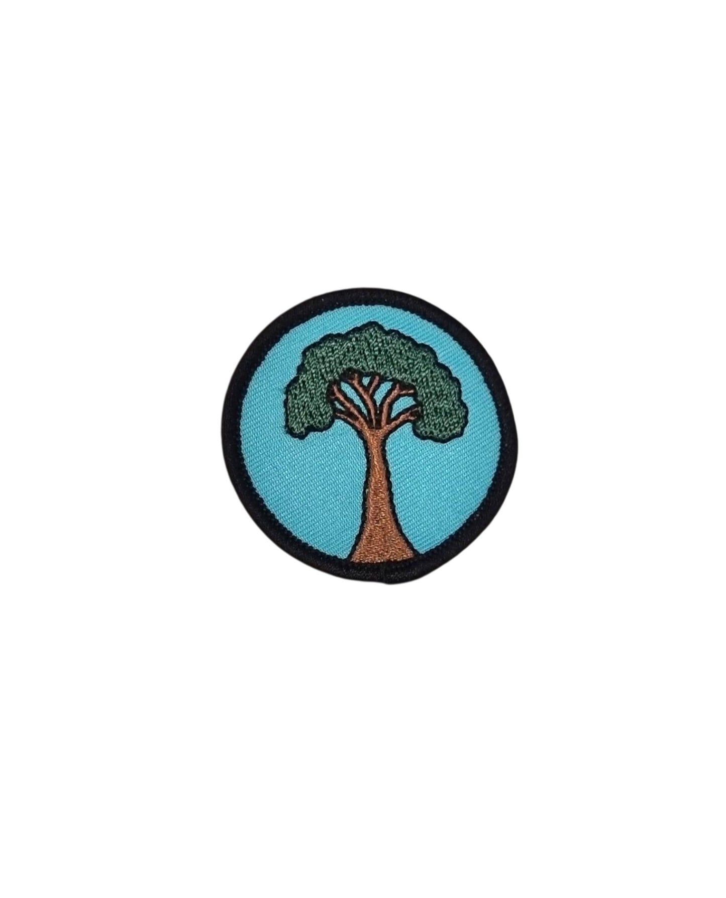 Eucalyptus Tree patch small size