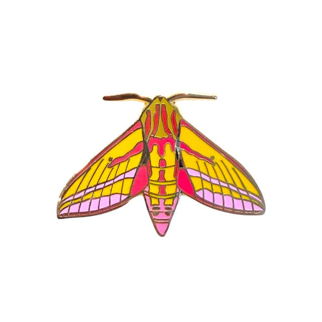 Elephant Hawk Moth Pin